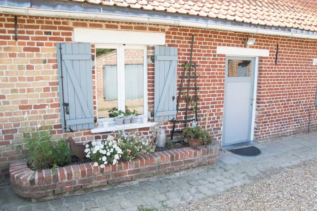 Cottage Chaleureux Au Coeur Des Monts De Flandres Saint-Jans-Cappel 外观 照片