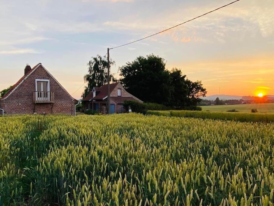 Cottage Chaleureux Au Coeur Des Monts De Flandres Saint-Jans-Cappel 外观 照片