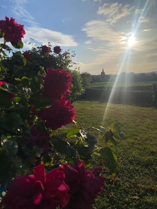 Cottage Chaleureux Au Coeur Des Monts De Flandres Saint-Jans-Cappel 外观 照片